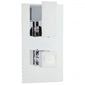SDG Premium Art Concealed Shower Valve with Slide Rail Kit + Wall Mounted 250mm Shower Head