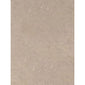 SDG PVC Ceiling Panel - 2700 x 250 x 8mm (4 Pack) - Concrete Beige