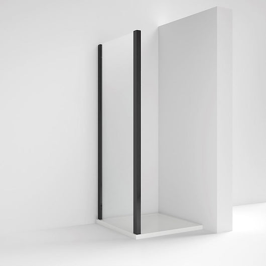  Rene Matt Black 760 x 1900mm Side Panel - 6mm Glass