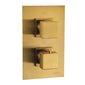 Aquadart Observa Thermostatic Concealed Shower Valve with Square Slide Rail Kit - Brushed Brass - welovecouk