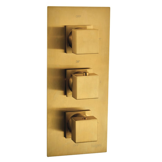  Aquadart Observa Concealed shower Valve with Square Shower Head , Arm & Slide Rail Kit - Brushed Brass - welovecouk