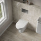 Denver Back to Wall Toilet - welovecouk