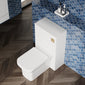 Ryker 500mm WC Unit - Gloss White