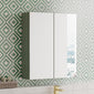 Nuie Arno 600mm Mirror Unit (50/50) - Satin Green