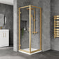 ShowerWorx 700mm Hinged Door - Brushed Brass