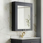 Farlow Shaker 600mm 2-Door Mirror Cabinet - Satin Soft Black