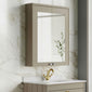 Farlow Shaker 600mm 2-Door Mirror Cabinet - Pebble Grey