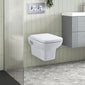 Arlo Concealed Cistern Frames Wall Hung Pan with Soft Closed Seat - Round Plate