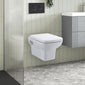 Arlo Concealed Cistern Frames Wall Hung Pan with Soft Closed Seat - Round Plate