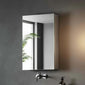 Cordis Stainless Steel Bathroom Mirror Cabinet (1-Door) 600 x 400mm