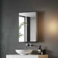 Cordis Stainless Steel Bathroom Mirror Cabinet (1-Door) 600 x 400mm