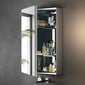 Cordis Stainless Steel Bathroom Mirror Cabinet (1-Door) 600 x 400mm