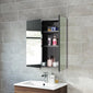 Cordis Stainless Steel Bathroom Mirror Cabinet (2-Door) 670 x 600mm