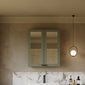 Thaxton Mirror Cabinet 600mm Mirror Cabinet 50/50 (180 Depth) - Fern Green - welovecouk