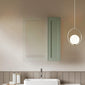 Thaxton Wall Hung 200mm 1-Door Wall Cabinet (180 Depth) - Fern Green
