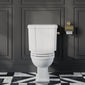 Huxton Traditional Close Coupled Toilet and Cistern - Brushed Brass - welovecouk