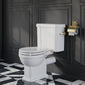 Huxton Traditional Close Coupled Toilet and Cistern - Brushed Brass - welovecouk