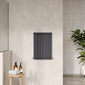 Nuie Revive Horizontal Double Panel Radiator 600 x 412 - Anthracite