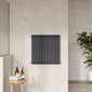 Nuie Revive Horizontal Double Panel Radiator 600 x 586 - Anthracite