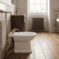 Nuie Beaumont Luxury Mono Bidet Mixer Tap with Waste Dual Handle - Brushed Brass