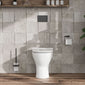 Misirlou Back To Wall Toilet & Soft Close Seat