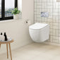 Freya Mid-Height  Concealed Cistern Frame Wall Hung Pan & Soft Close Seat - Square Plate