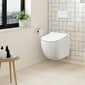 Freya Concealed Cistern Frame Wall Hung Pan & Soft Close Seat - Square Plate