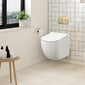 Freya Mid-Height  Concealed Cistern Frame Wall Hung Pan & Soft Close Seat - Round Plate