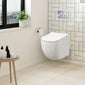 Freya Concealed Cistern Frame Wall Hung Pan & Soft Close Seat - Square Plate