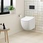 Freya Concealed Cistern Frame Wall Hung Pan & Soft Close Seat - Square Plate