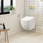 Freya Concealed Cistern Frame Wall Hung Pan & Soft Close Seat - Round Plate