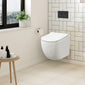 Freya Concealed Cistern Frame Wall Hung Pan & Soft Close Seat - Round Plate