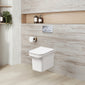 Ava Concealed Cistern Frame Wall Hung Rimless Toilet Pan & Sandwich Soft Close Seat - Square Plate