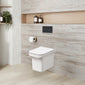 Ava Concealed Cistern Frame Wall Hung Rimless Toilet Pan & Sandwich Soft Close Seat - Square Plate