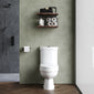 Evo Close Coupled Toilet & Soft Close Seat - welovecouk
