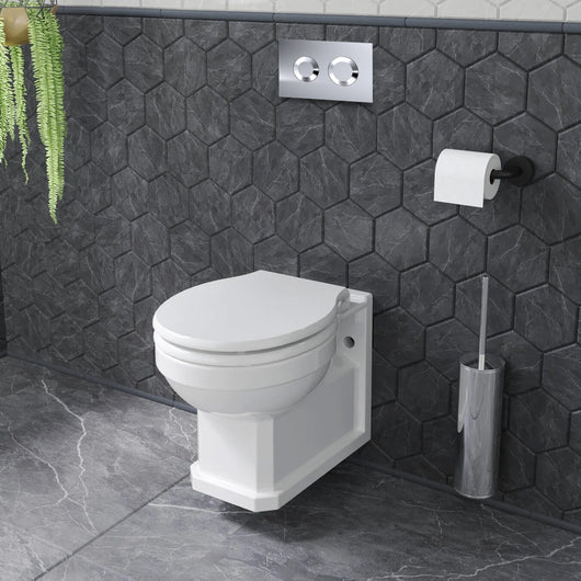  Carlton Concealed Cistern Frames Wall Hung Pan - Round Plate