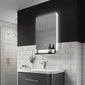 Harbour Backlit LED Mirror with Integrated Self - 790 x 500 - Frameless - welovecouk