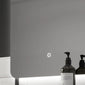 Harbour Backlit LED Mirror with Integrated Self - 790 x 500 - Frameless - welovecouk