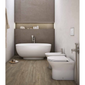 RAK Ceramics Feeling Rimless Back To Wall Pan & Soft Close Seat - Matt Black