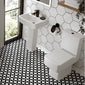 Serene Close Coupled Toilet & 600mm Full Pedestal Basin