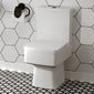 Serene Close Coupled Toilet & Seat - Space Saver