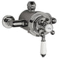 Hudson Reed White Topaz Exposed Dual Shower Valve - Brushed Pewter - welovecouk