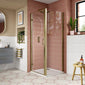 Lucie Brushed Brass 900mm Hinged Shower Door - 8mm Glass