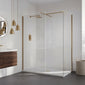 Aquadart Wetroom 8 Glass Panel 800mm Clear With Brushed Brass Profile Pack