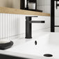 Nuie Binsey Mono Basin Mixer with Push Button Waste - Matt Black