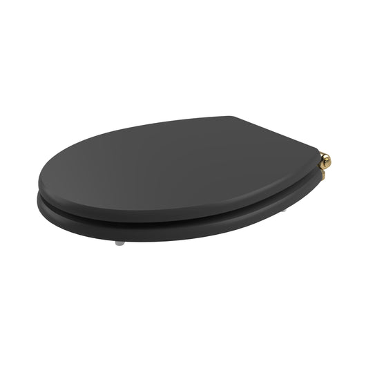  Huxton Quick Release Soft Close Toilet Seat - Matt Black Brushed Brass Hinge - welovecouk