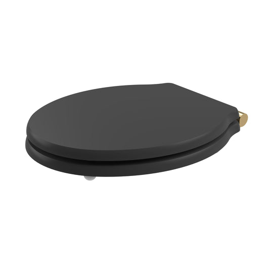  Huxton Matt Black Soft Close Toilet Seat - Brushed Brass Hinge - welovecouk