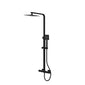 REGAR SQUARE Exposed Rigid Riser Thermostatic Shower Set - Black