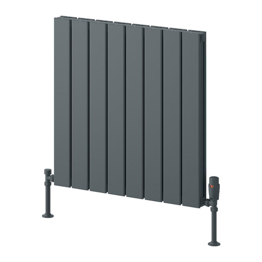  Reina Piatto Horizontal Aluminium Radiator - Double / 600 x 595mm - Anthracite