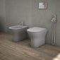 RAK Ceramics Feeling Rimless Back To Wall Pan & Soft Close Seat - Matt Black